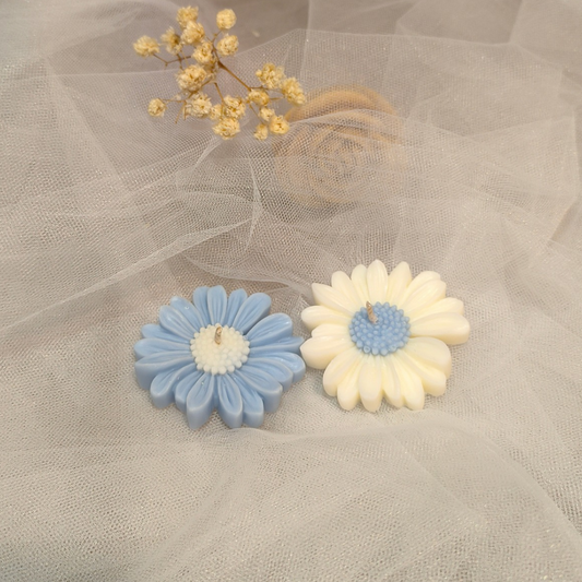Marguerite bleu